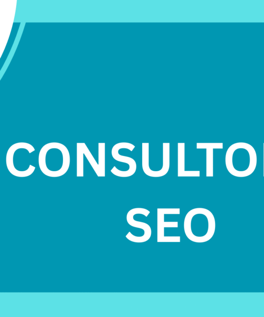 Consultoria SEO