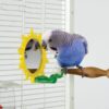 Caitec Oven Fresh Bites: The One Change That Could Transform Your Parrot's Health
