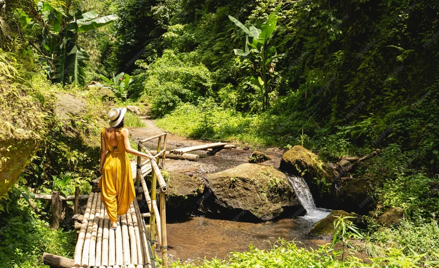 To Visit Vuzillfotsps