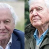 How Old Is David Attenborough