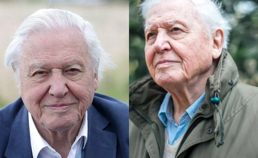 How Old Is David Attenborough